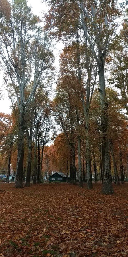 Beautiful Nature image