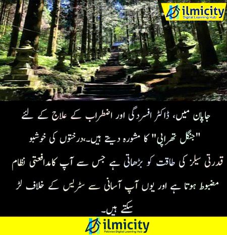 Interesting Posts image