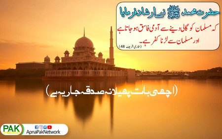 Islamic Quotes image