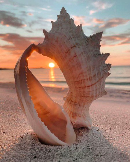 Beautiful Structures image