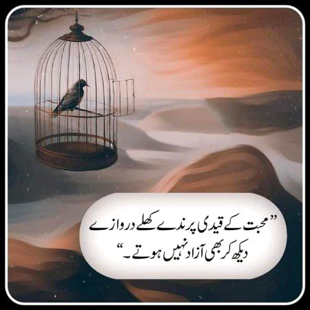 Life Advice image