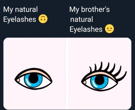 Memes & Satire image