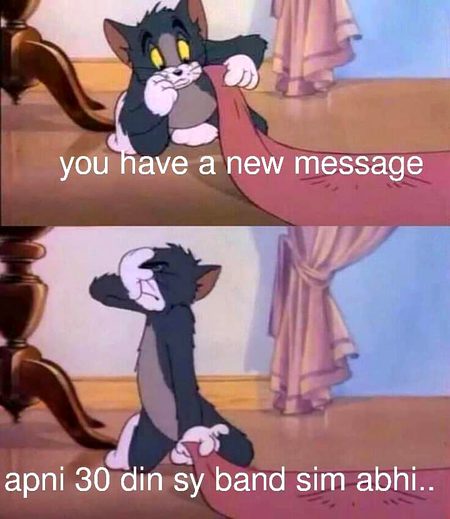 Memes & Satire image