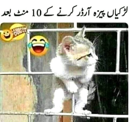 Memes & Satire image