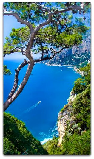 Beautiful Nature image