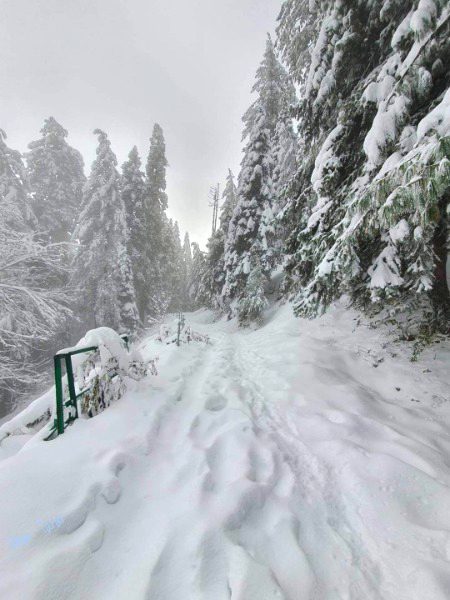 Beautiful Nature image