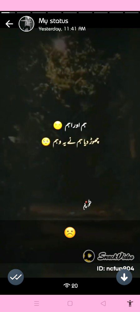 Choor dea ham ne ye wahim...😔😔😔