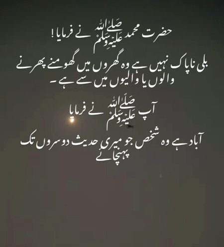 Islamic Quotes image