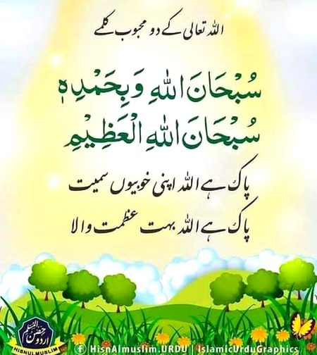 Islamic Quotes image