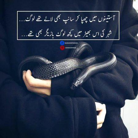 Attitude Poetry image