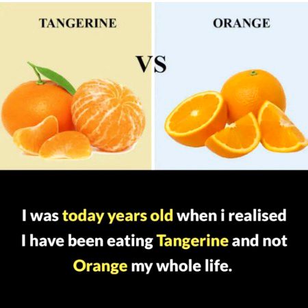 Interesting Posts image