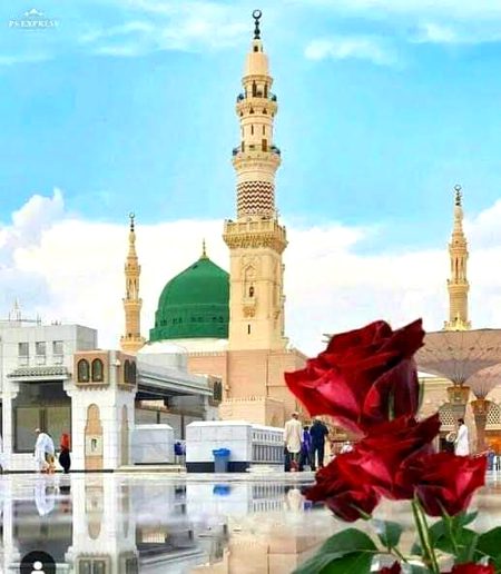 Beautiful Structures image