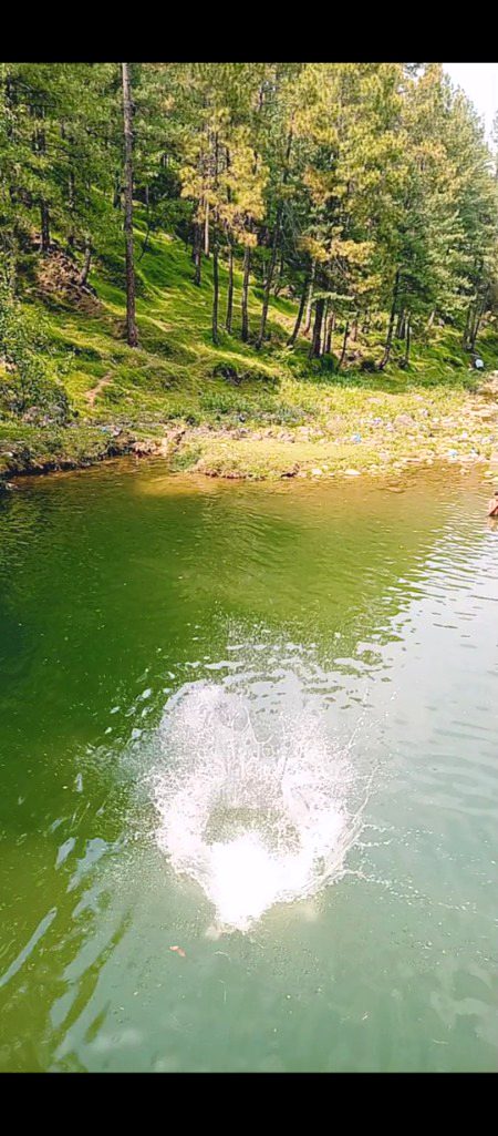 Dive during swimming...n1
