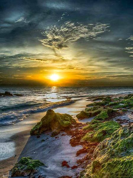 Beautiful Nature image