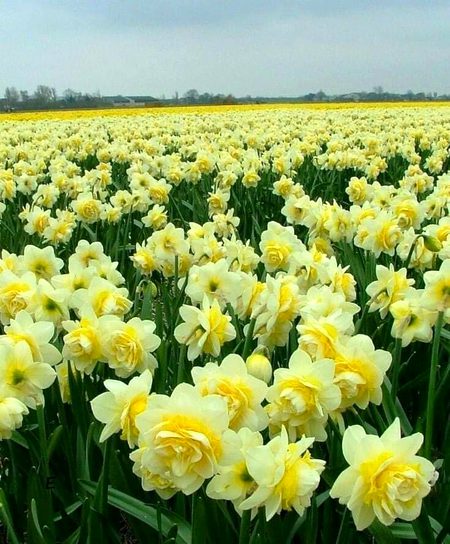 Beautiful Nature image