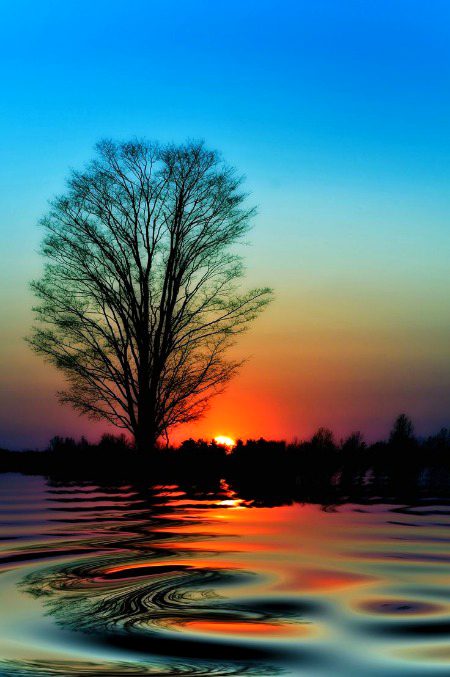 Beautiful Nature image