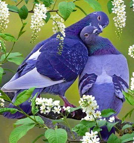 Beautiful Nature image