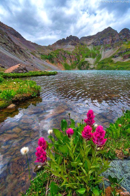 Beautiful Nature image