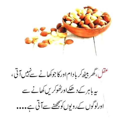 Life Advice image