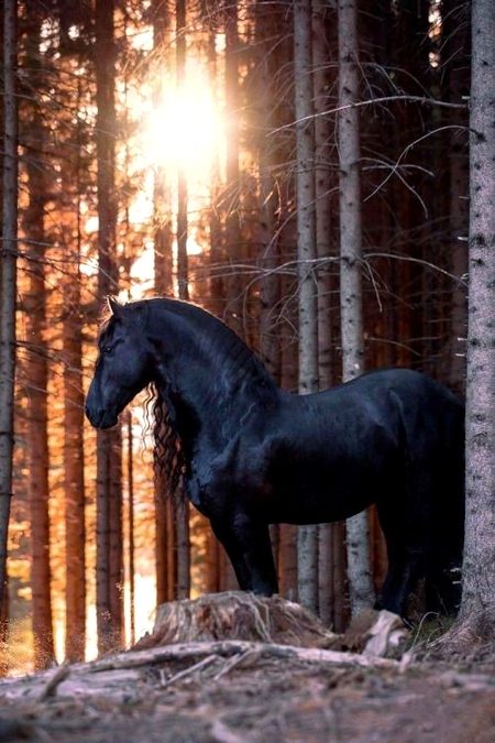 Beautiful Nature image