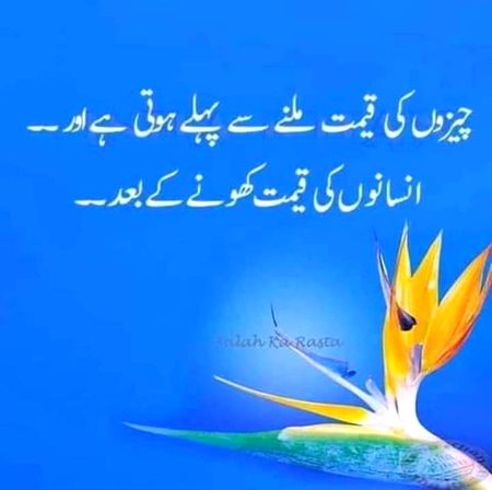 Assalam o alaikum kya hai hai