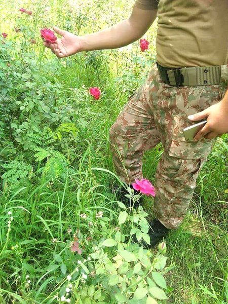 Ase Phool kiss ko pasand hai🌷🌷🌷🌹🌹🌹👈