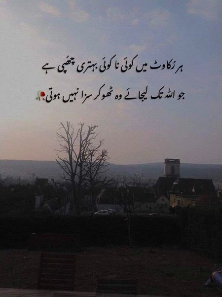 Beshak
