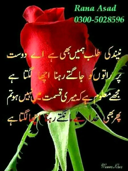 Sad Poetry image