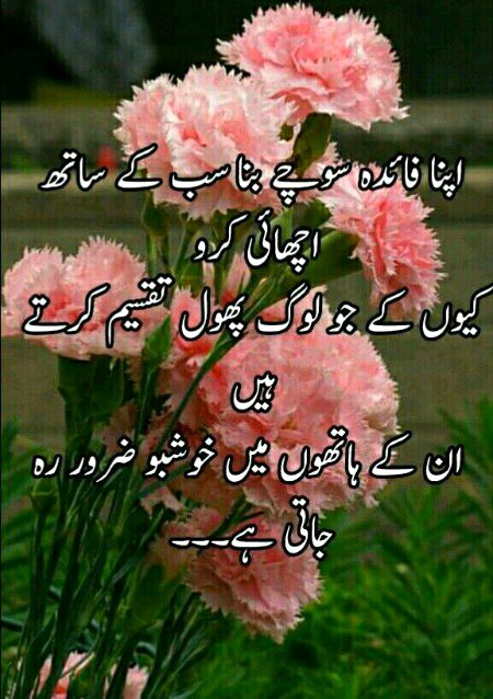 Absolutely 🌺🌺🌺