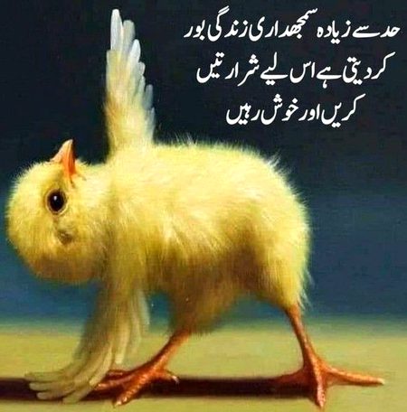 Life Advice image