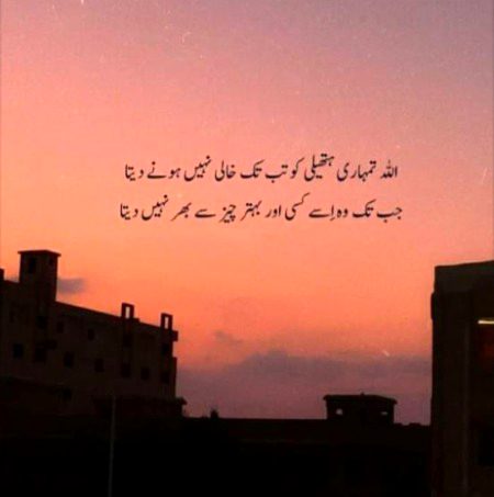 🍁Zoq_Shab🍁