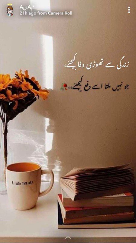 Attitude Quotes image