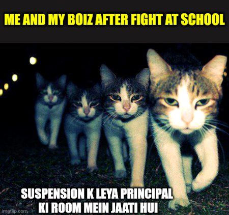 Memes & Satire image