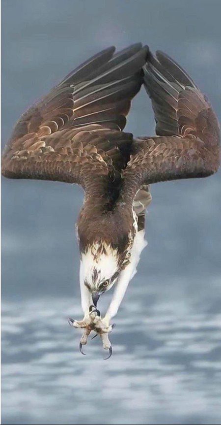 Beautiful Nature image