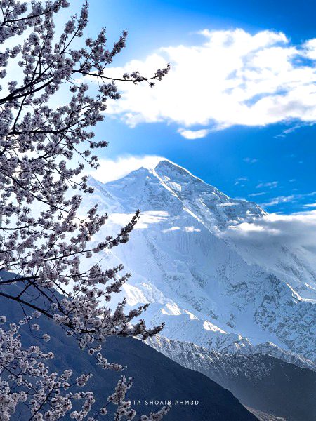 Beautiful Nature image