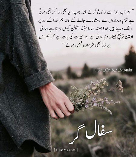 Romantic Novels image