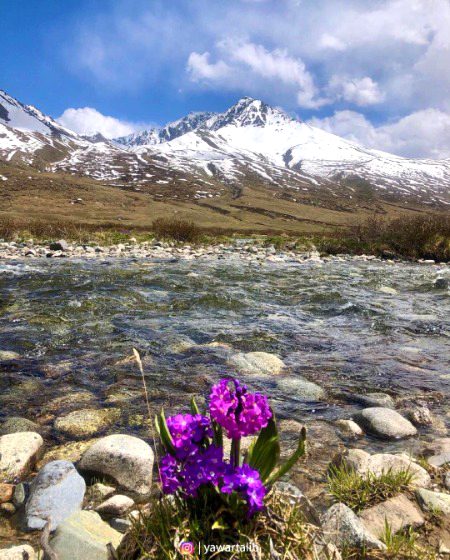Beautiful Nature image