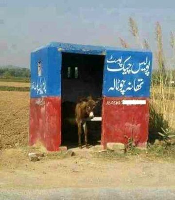 Memes & Satire image