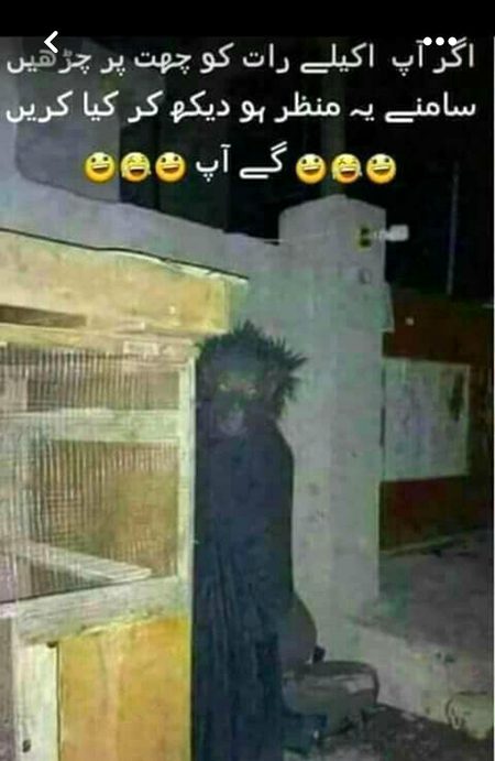 Behosh. . .