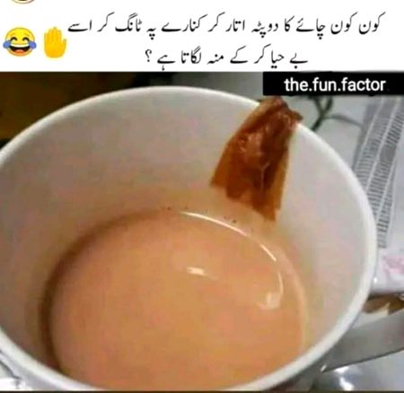 Memes & Satire image