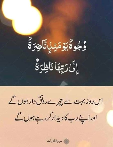 Hnutghjt nufvnyf bhfvv