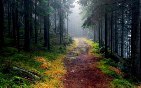 Beautiful Nature image