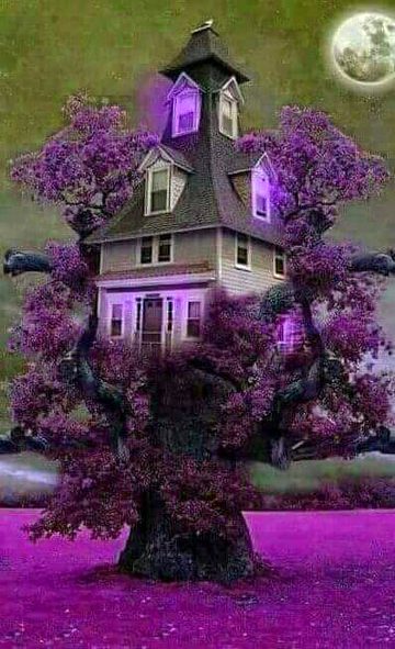 Beautiful Structures image
