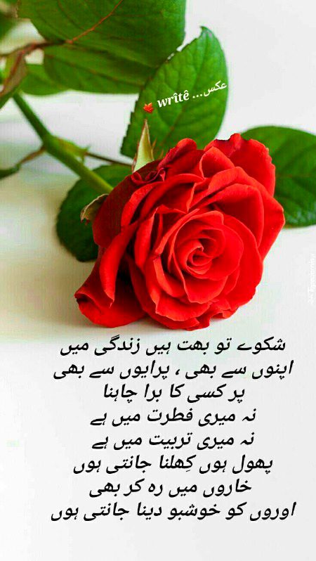 Attitude Poetry image