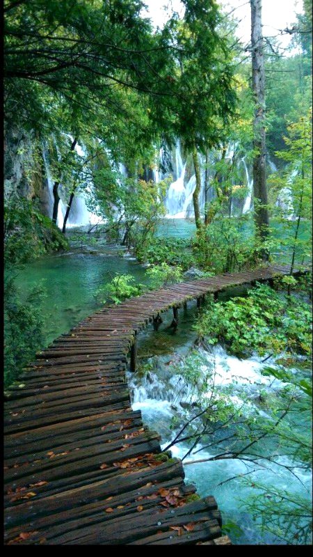 Beautiful Nature image