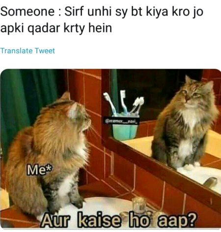 Memes & Satire image