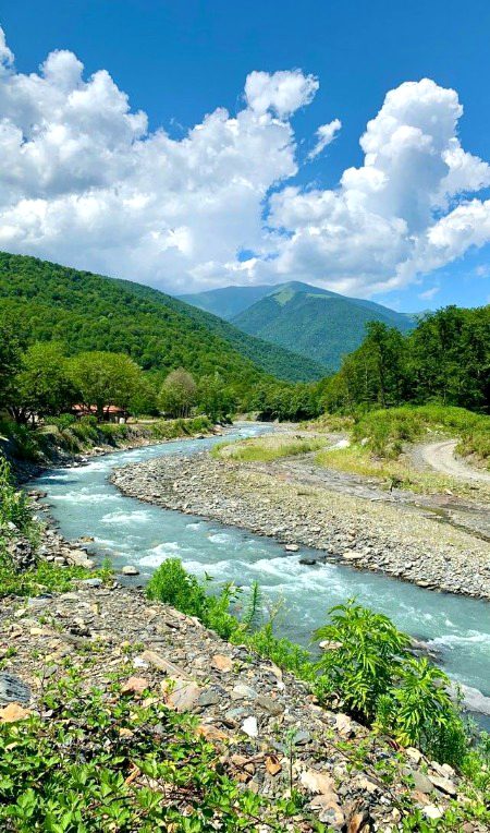Beautiful Nature image