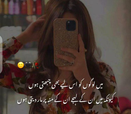 Attitude Quotes image