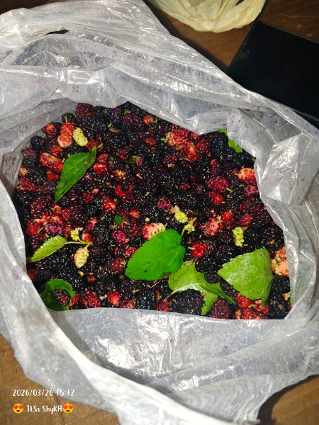 AjaOo JiSs JiSs Ny Khany Hain.. FreSsh