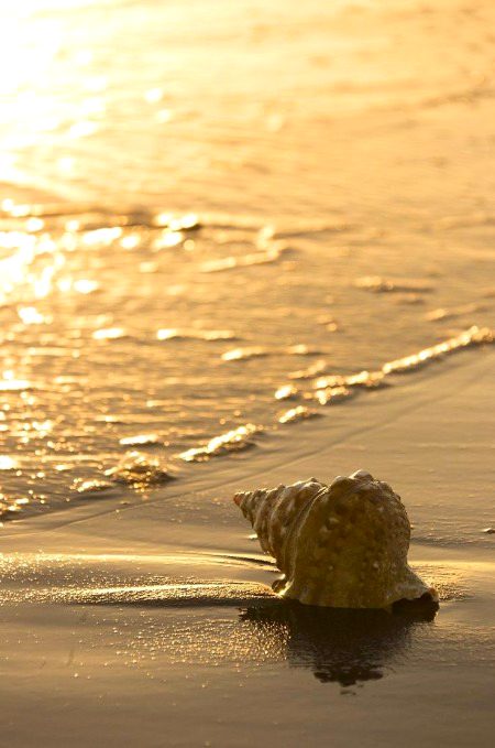Beautiful Nature image